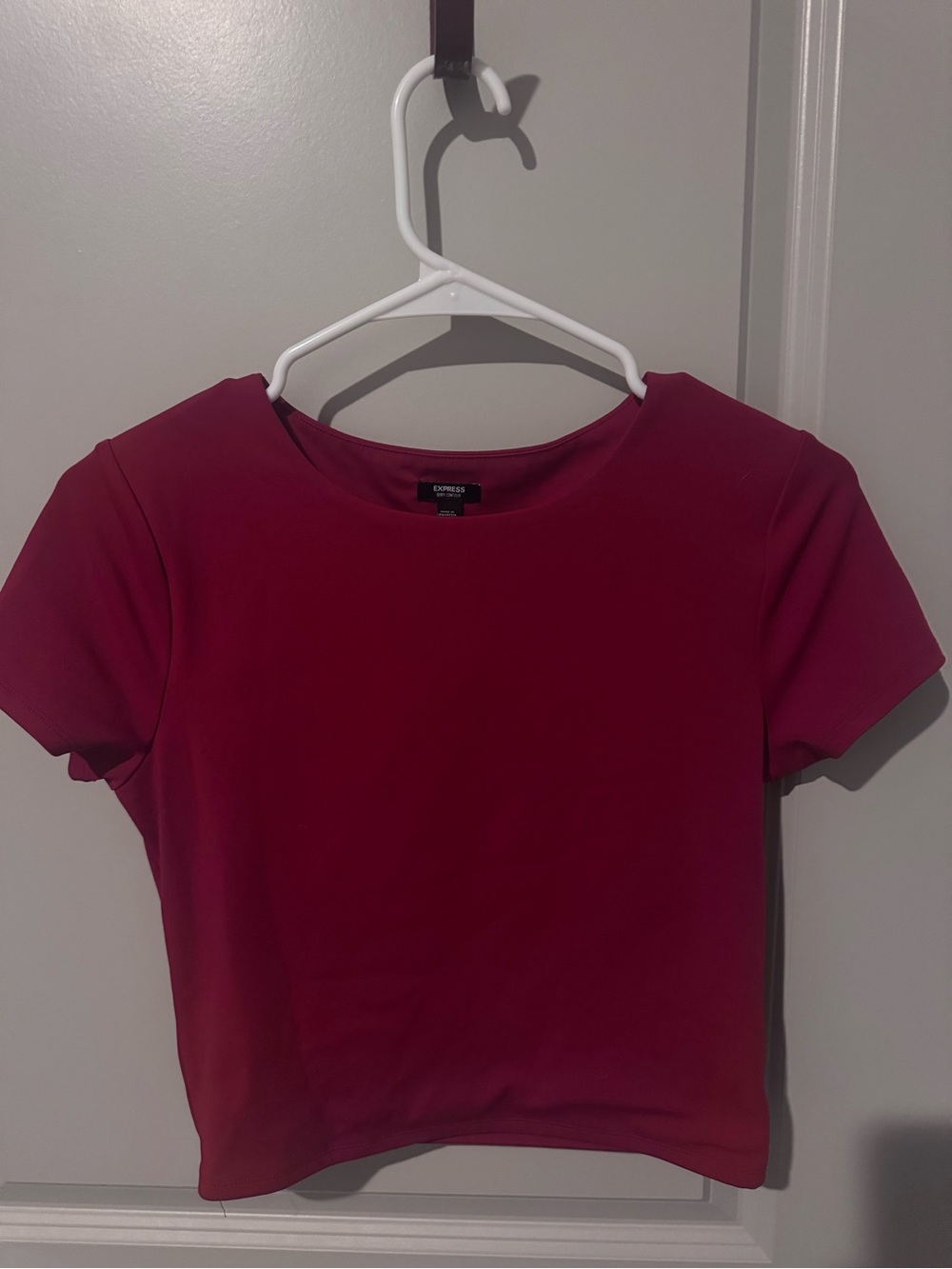 Express Women's Raspberry Short Sleeve Crop Top